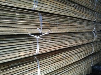 Bamboo slat fence